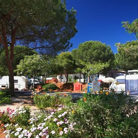 Mobil-home - Terrasse Privee - Api-1-52-1861 Campingplads Marbella