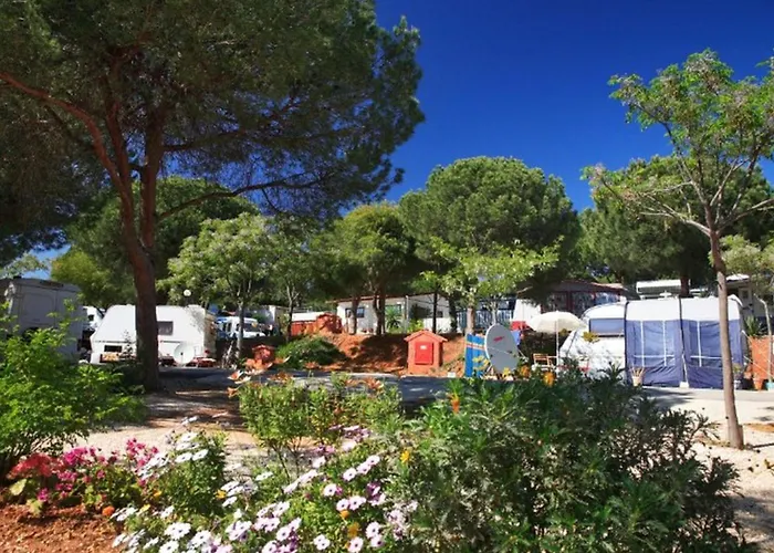 Mobil-home - Terrasse Privée - Api-1-52-1861 Camping Marbellac